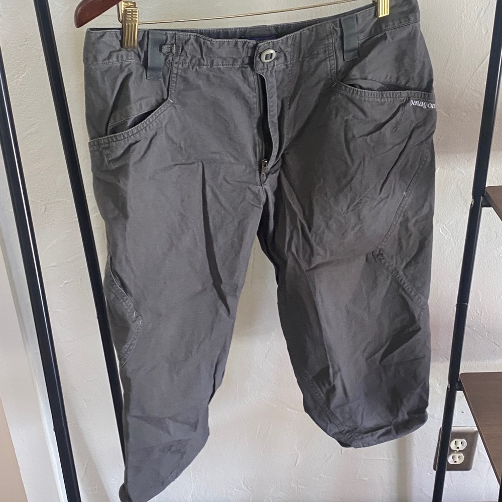 Patagonia Mens pants